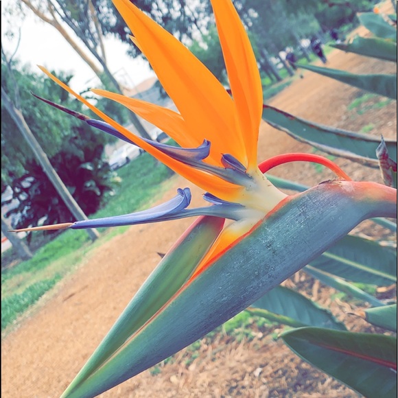 Meet your Posher, Krista - Picture 1 of 1